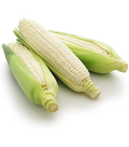 Amazon.co.jp: 熊本県産！スイートコーン 生でも食べられる糖度18度